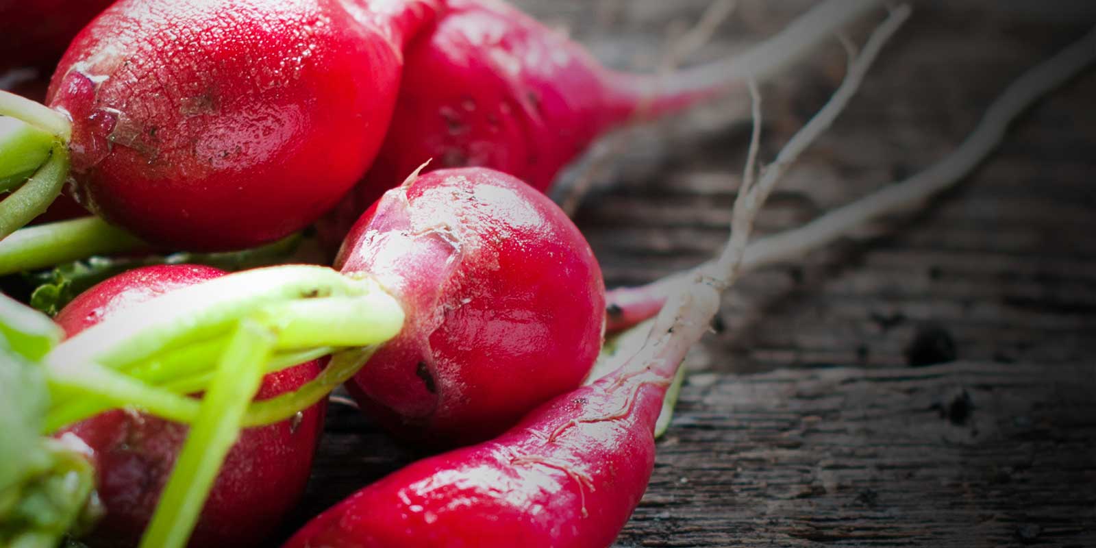 Fresh Ingredients… Slide background